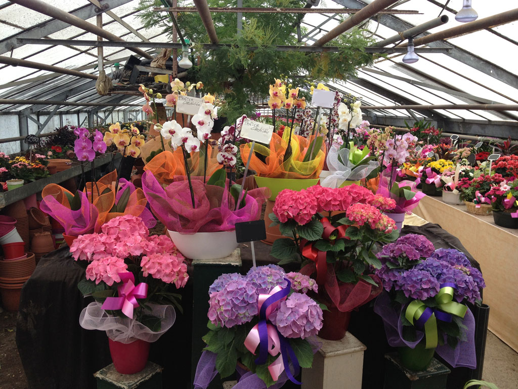 Compositions florales